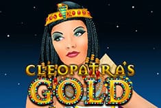 Crypto Wild game-thumb